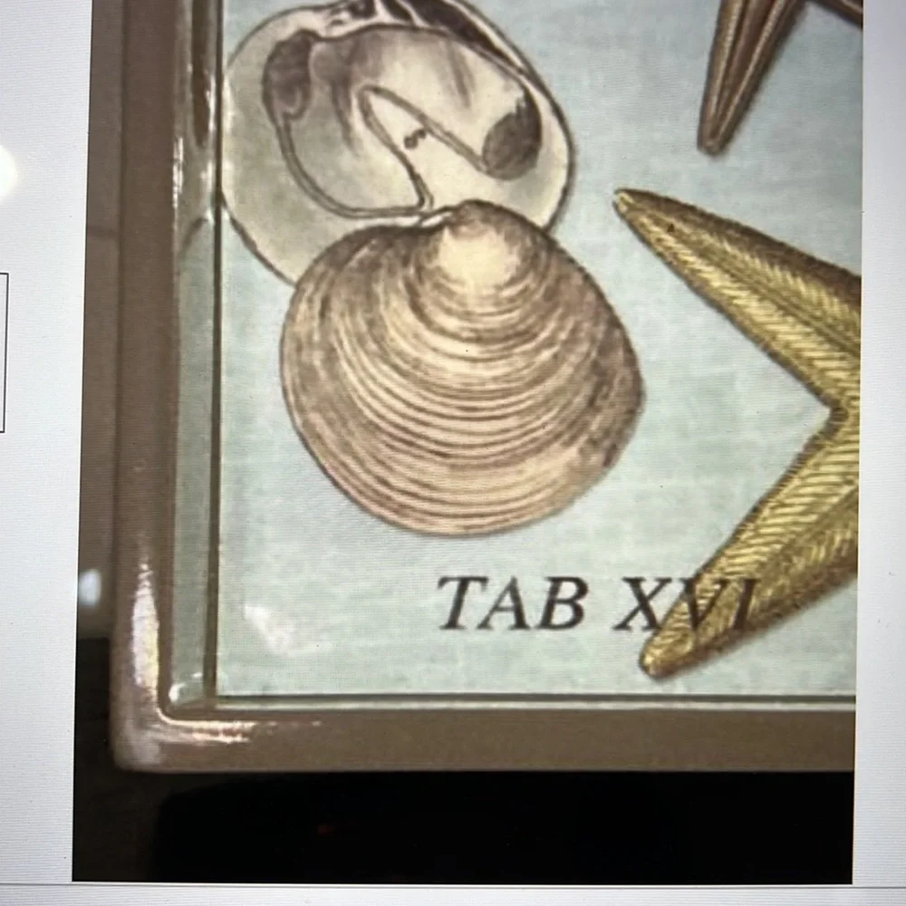 COPY - NEW Michel Design Works Seashells Vanity Tray, Lacquered sides/base, bea…